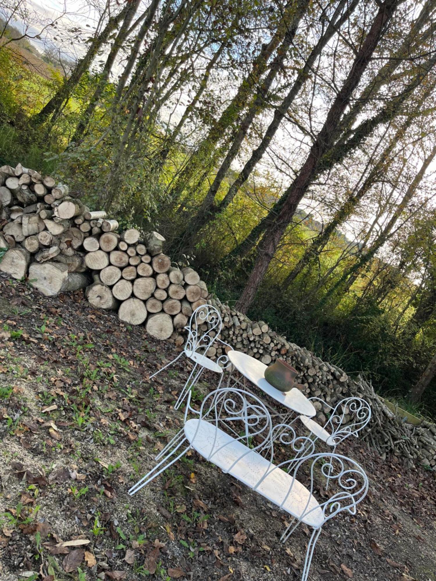 LʼIsle-Jourdain Chez Mamieヴィラ エクステリア 写真